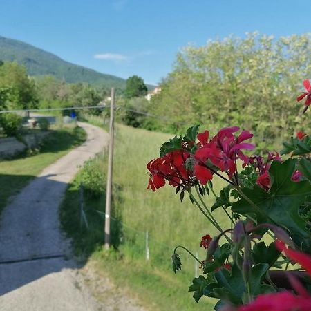 La Soffitta Di Anita Villa Bedonia ภายนอก รูปภาพ